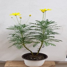 f09d8f501e31d5fd80b367e18ce8c5fdf0b47ea7c5b5cfbe9489c4bba2de.jpg
