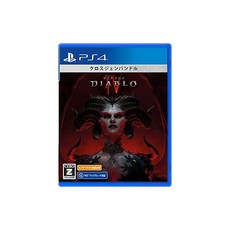 [PS4] Diablo 4 (디아블로 4) - divix