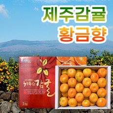 산지직송 제주도 고당도 노지 하우스 조생 햇 귤 감귤 2kg 3kg 5kg 10kg 소과 중과 대과 특 선물용 가정용, 감귤 2kg (2S-L 혼합)