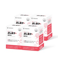 세노이의가르침