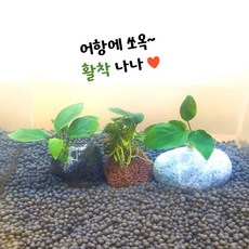 부천아쿠아필2만원