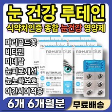 눈 실핏줄 터짐 피로할때 노화 건조증 눈건강 개선제 초점 시력 눈이 침침 흐릿 할때 안구 피로 뒤쪽 안쪽 통증 이물감 염증 건조함 붓기 각막 망막 황반 보호 영양제 누테인 루테린