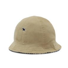 블루독리버시블