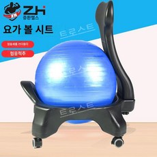  짐볼 의자 체어 코어 밸런싱 골반 운동 직장인 사무실 필라테스, 블루 55cm 