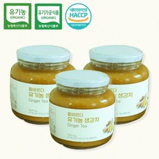 올바르다 유기농 생강청 생강차 1kg 1병~5병, 1개입, 3개