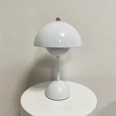 앤트랜디션