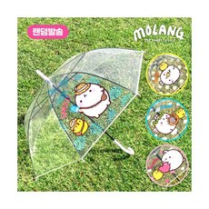 몰랑이투명우산