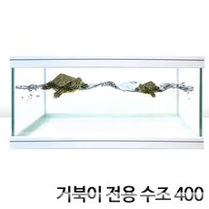거북이 수조 400, 1개