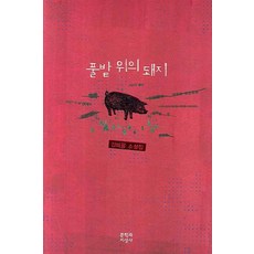 풀밭 위의 돼지:김태용 소설집, 문학과지성사, 글: 김태용