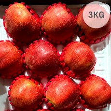셀링크 경북 홍로사과 프리미엄 과일선물세트 3kg, 셀링크 옵션1.홍로사과 정품 선물세트 중과 3kg, 1개