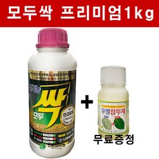 금1키로금액