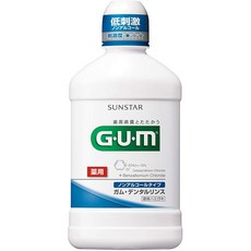 [의약 부외품] GUM (껌) 덴탈 린스 무알콜 타입 약용 액체 치약 250ML <치주 질환 예방 구취 예방>