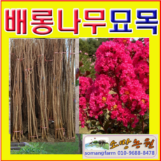 9aeaf95ff757100e90dc4d29dc798ec11e4a27704bed233e64ae52054421.png