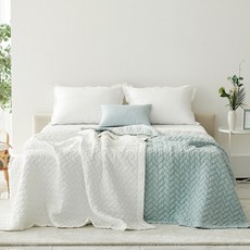 로라애슐리스프레드q