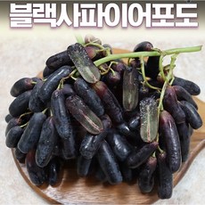 사파이어