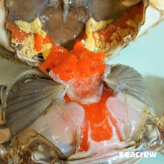 씨크루 연평도 제철 급냉 몽당 봄암꽃게(대)1kg(3미내외),
