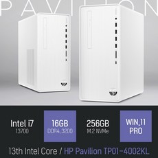 HP 파빌리온 TP01-4002KL, 램 16GB+NVMe 256GB+WIN11 PRO