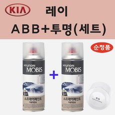 레이순정avn