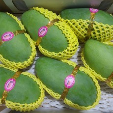 미스터과일왕 베트남 그린 코끼리 망고 (Vietnam Green Elephant Mango), 그린망고 5kg (5-8과), 1박스