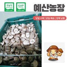 무농약인증 GAP인증 예산 표고버섯 (파지) 착한가게 드림 무료배송! 식당용 국물용 육수용 김장용 다시용 대량용 추천 농장직송, 4kg, 1개