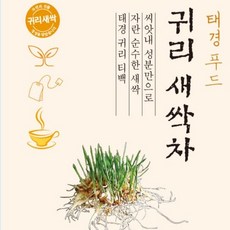 귀리 새싹 티백차 수제 덖음 전통 침출차 60g, 귀리 새싹 티백차2봉지, 1.5g, 2개, 40개입