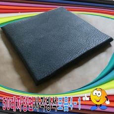 sc1006