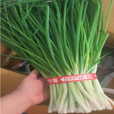 25년 국산 싱싱한 농장직송 특품 쪽파 1kg 2kg 당일수확 제철 익산 깐쪽파, 1개