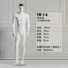 마네킹 모델 모형 가짜 메이크업 전시대 의류상점 두상 특남복 진열창 인체 전신 남자 스탠드 자남 소품, C01-공식모델