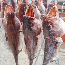 국내산 해풍맞은 반건조 손질 대구 (380g-450g), 1개, 1미