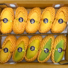 [90일간만] 항공직송 고당도 태국 마하차녹 무지개 망고 mango, 1박스, 5kg