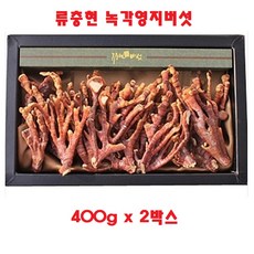 류충현 녹각영지버섯 노루궁뎅이 국내산 베타글루칸 명절선물 부모님선물 버섯선물세트 400gx1박스 2박스, 400g