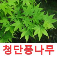 8f3264bf1280c6690a275b15ca94b38cd9fc86214d130c8504973c65457d.png