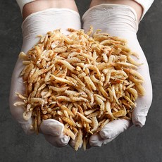 쇼어블룸 보리새우, 1개, 500g