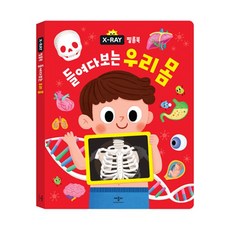 애플비 필름북 들여다보는 우리 몸 X-RAY 인체 사운드북
