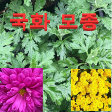 3231c29162c5d445eb8373a2bfcc5615dce3415598f8fcde91fbd6f497b8.png
