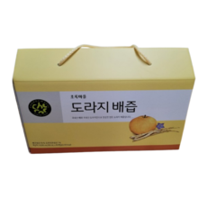 초록마을 환절기에 마시는 도라지배즙, 40개, 100ml