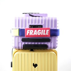 [LUCKY PLANET] 고비욘드 엘라스틱 캐리어 벨트_Fragile_블루, 블루/형광그린밴드, 1개 - 고비욘드캐리어