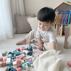 토이저러스우드블럭