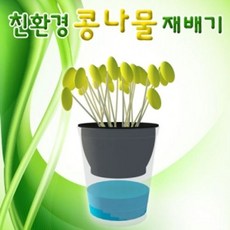콩나물키우기5인용