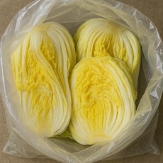 데코리아 옛날 두꺼운 김장 PE 포장 보관 비닐봉투, 대형(약15포기), 1개입, 10개