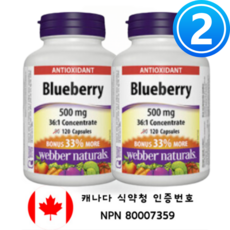 Webber Naturals 안토시아닌 블루베리 슈퍼푸드 강력한 항산화 영양제 500mg 120캡슐 캐나다직배송, 2개, 120정