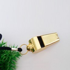 삼각휘스크