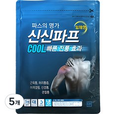 신신제약 신신파프 COOL 파스 5개입 5개 상품 이미지