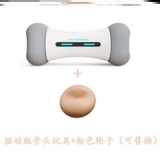 반려동물펫푸드스타일리스트