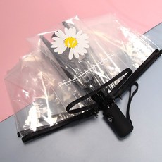 데이지투명우산