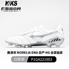 모렐리아dna