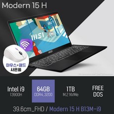 MSI 모던시리즈 모던 15 H B13M-i9, Free DOS, 64GB, 1TB, 블랙 - m15i