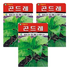 곤드레 씨앗 나물 씨 종자, 3개