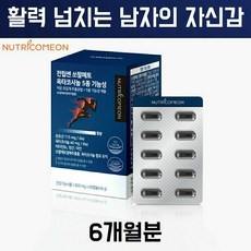 추천4남성발기강화약