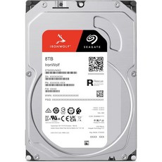 Seagate IronWolf 8TB 엔터프라이즈 내장 NAS HDD – CMR 3.5인치 SATA 6Gb/s 7200RPM RAID NAS용 256MB 캐시ST8000NT00 - ironwolf8tb